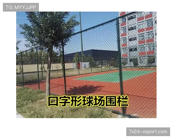 篮球边线规则入门：新手如何理解球场边界与判罚标准